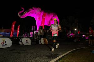 BIB: 
                            <button type="button" onclick="openModal(26534630)" class="btn btn-primary btn-sm float-right btn-popup" data-toggle="modal" data-target=".modal-high-quality">
                        <i class="fas fa-shopping-cart"></i> Add to Cart
                    </button>
                                            <button type="button" onclick="isThisMe(26534630, true)" class="btn btn-success btn-sm float-right btn-popup btn-isme hidden" data-toggle="tooltip" data-placement="bottom" title="นี่คือรูปของคุณใช่ไหม คลิกที่นี่เพื่อเอาเข้าอัลบั้ม">
                        <i class="fas fa-plus"></i> Add to album
                    </button>
                    <button type="button" onclick="isThisMe(26534630, false)" class="btn btn-warning btn-sm float-right btn-popup btn-isnotme hidden">
                        <i class="fas fa-ban"></i> Remove from album
                    </button>